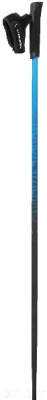 Палки для скандинавской ходьбы VikinG Pro-Trainer / 650/20/7879-0015 (р. 105, синий)