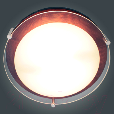 Потолочный светильник Элетех Полесье 300 НПБ 09-2x40-002 М95 / 1005205891 (белый/вишня)