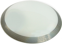 Потолочный светильник Элетех Этруска 2 300 НПБ 01-2x60-139 / 1005404736 (серый/металлик) - 