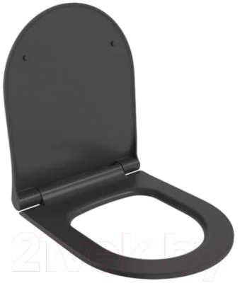 Унитаз подвесной Ambassador Abner / 103T20201R (черный матовый, с тонким сиденьем)