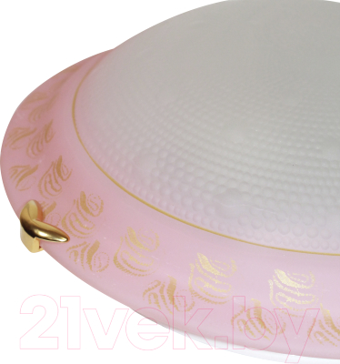 Потолочный светильник Элетех Роса 300 НПБ 01-2x60-139 М16 / 1005202495 (розовый)