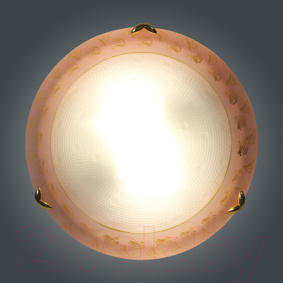 Потолочный светильник Элетех Роса 300 НПБ 01-2x60-139 М16 / 1005202495 (розовый)