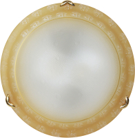 Потолочный светильник Элетех Роса 300 НПБ 01-2x60-139 М16 / 1005202519 (желтый) - 