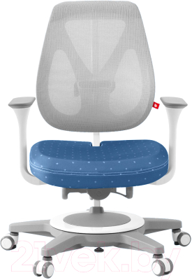 Кресло растущее ТСТ Nanotec Ego с сетчатой спинкой и подлокотниками (темно-синий)
