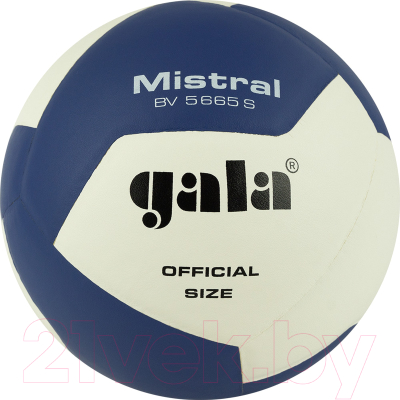 Мяч волейбольный Gala Sport Mistral 12 / BV5665S (размер 5, белый/синий)