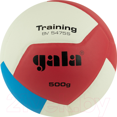 Мяч волейбольный Gala Sport Training Heavy 12 / BV5475S (размер 5, белый/синий)