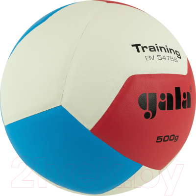 Мяч волейбольный Gala Sport Training Heavy 12 / BV5475S (размер 5, белый/синий)