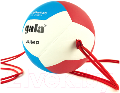 Мяч волейбольный Gala Sport Jump 12 / BV5485S (размер 5, красный/синий/желтый)