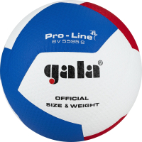 Мяч волейбольный Gala Sport Pro-Line 12 / BV5595SA (размер 5, белый/красный/голубой) - 