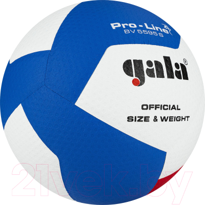 Мяч волейбольный Gala Sport Pro-Line 12 / BV5595SA (размер 5, белый/красный/голубой)