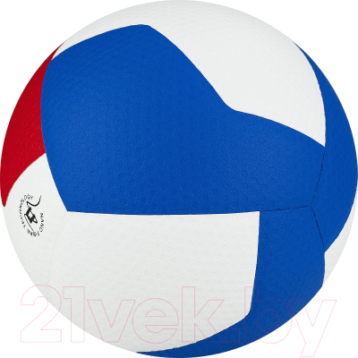 Мяч волейбольный Gala Sport Pro-Line 12 / BV5595SA (размер 5, белый/красный/голубой)