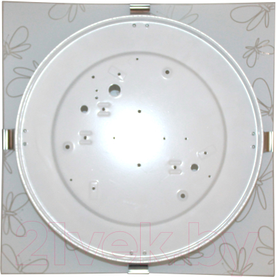 Потолочный светильник Элетех Бабочки 400x400 НПБ 06-3х60 М68 / 1005205745 (матовый белый)