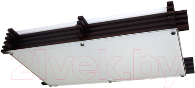 Потолочный светильник Элетех Киото 720x410 НПБ 01-4х60-502 / 1005205986 (прозрачный матовый/венге)
