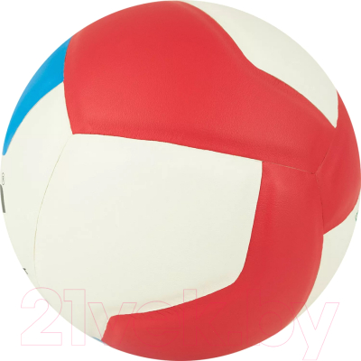 Мяч волейбольный Gala Sport School 12 / BV5715S (размер 5, белый/красный/голубой)