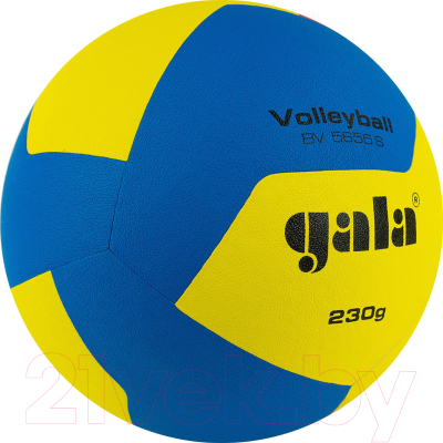 Мяч волейбольный Gala Sport Training 230 12 / BV5655S (размер 5, синий/желтый/красный)