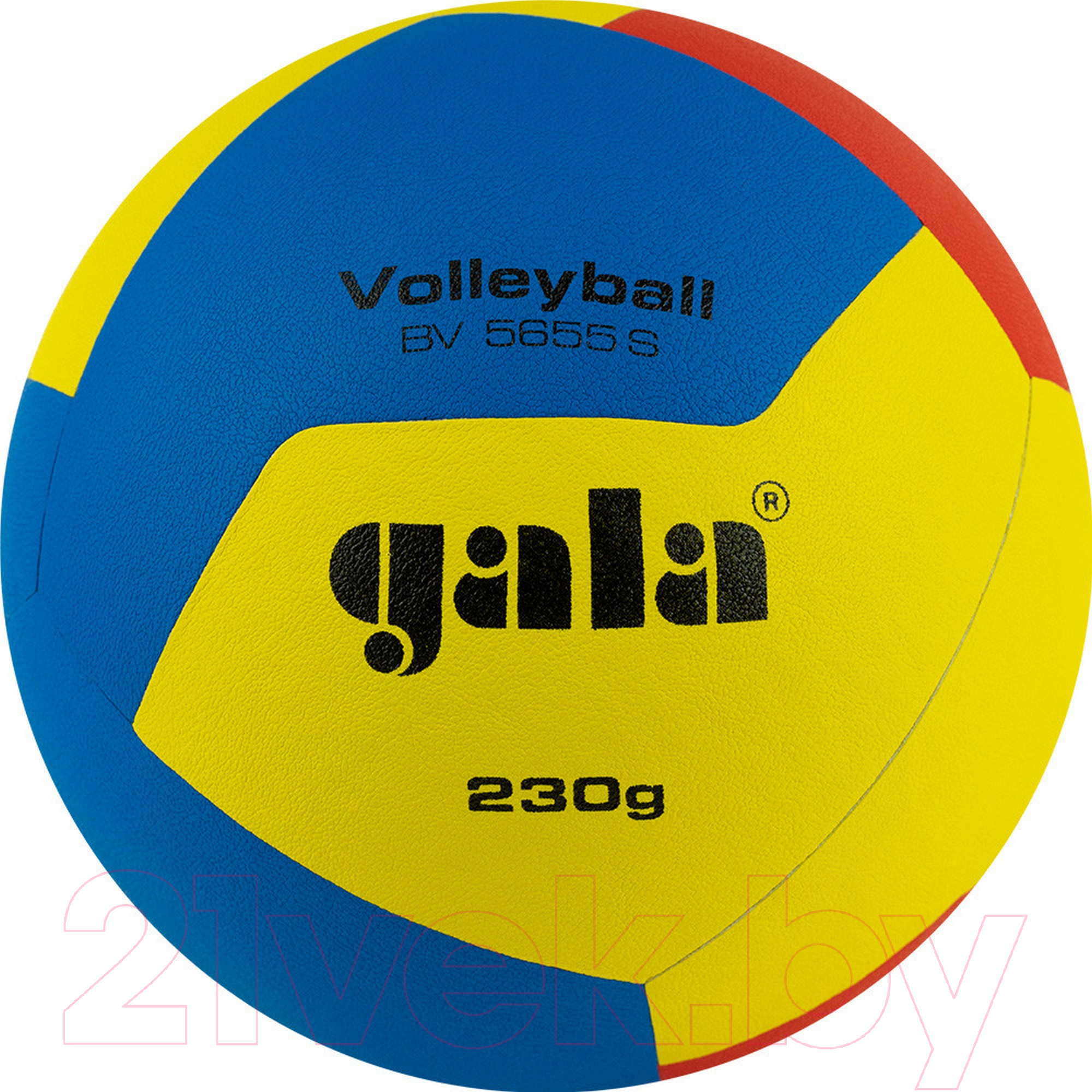 Мяч волейбольный Gala Sport Training 230 12 / BV5655S