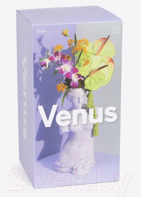 Ваза Doiy Venus / DYVASEVELI (лиловый)