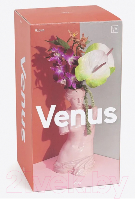 Ваза Doiy Venus / DYVASEVEPK (розовый)