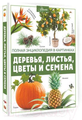 Энциклопедия АСТ Деревья, листья, цветы и семена (Спектор А.А.)