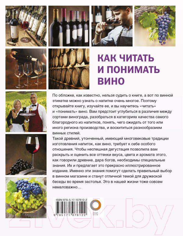 Нехудожественная книга АСТ Как читать и понимать вино (Шпаковский М.М.) — фото 2