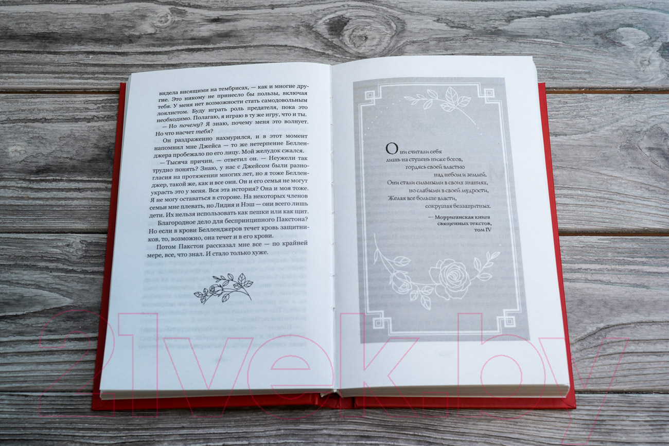 Художественная книга АСТ Клятва воров (Пирсон М.Э.) — фото 4