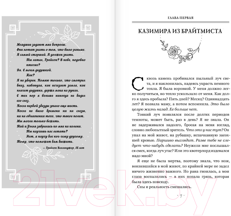 Художественная книга АСТ Клятва воров (Пирсон М.Э.) — фото 6
