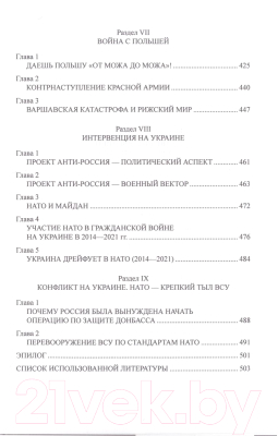 Книга Вече Две интервенции. 1918-1922, 2022-2023гг (Широкорад А.)