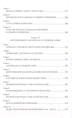 Книга Вече Две интервенции. 1918-1922, 2022-2023гг (Широкорад А.)