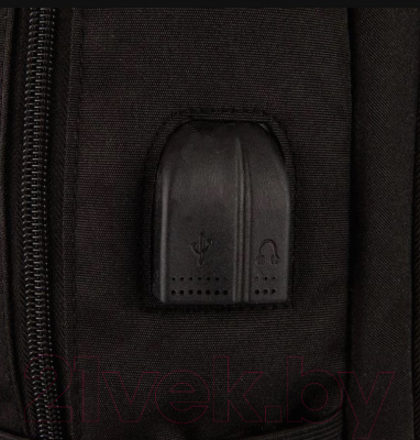 Изображение товара Рюкзак Ecotope 289-6816E-BLK (черный)