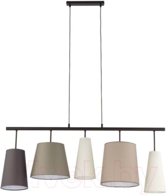 

Потолочный светильник TK Lighting, 1908 Pedro 5