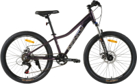 Велосипед Haevner Infinity 2024 / HB-NF (24, фиолетовый перламутр) - 