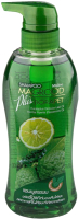 Шампунь для волос Mistine Magrood Plus Borapet Shampoo С фруктом магруд и бергамотом (400мл) - 