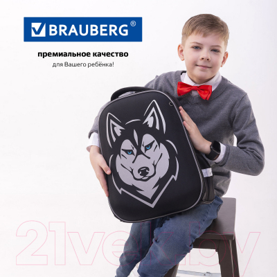 Школьный рюкзак Brauberg Shiny. Husky / 271383