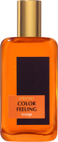 Туалетная вода Brocard Color Feeling Orange (100мл) - 