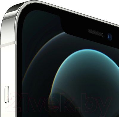 Смартфон восстановленный Apple iPhone 12 Pro Max 256GB Flip Грейд B (серебристый)