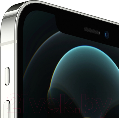 Смартфон восстановленный Apple iPhone 12 Pro 256GB Flip Грейд A (серебристый)
