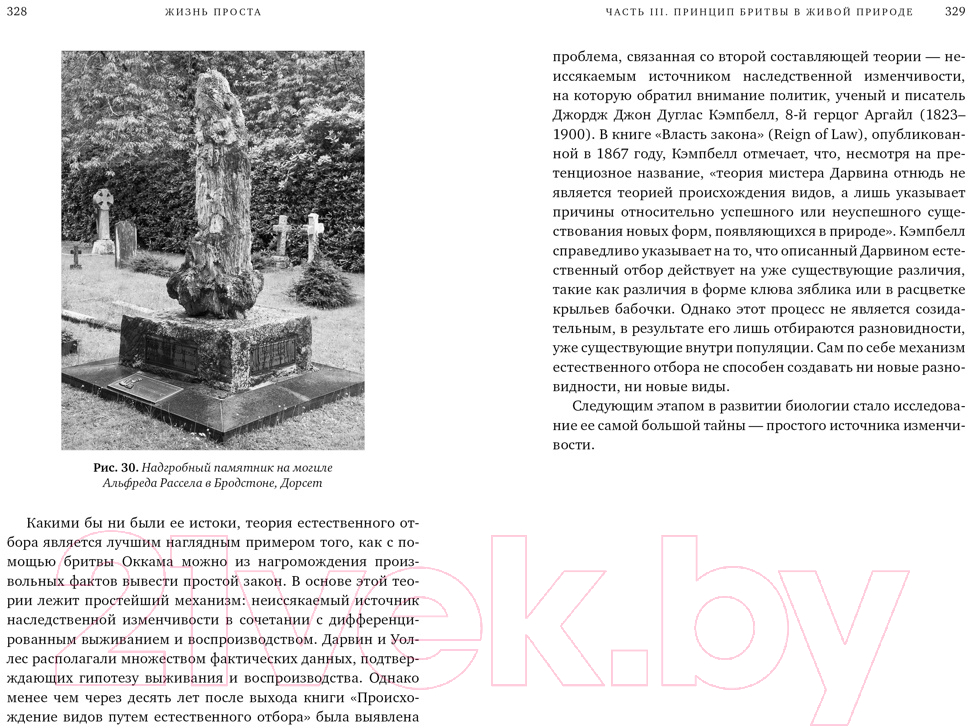 Книга КоЛибри Жизнь проста. Как бритва Оккама освободила науку (Макфадден Дж.) — фото 6