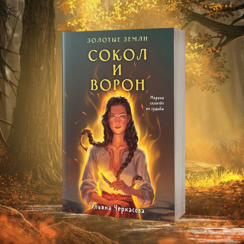 Художественная книга Черным-бело Золотые земли. Сокол и Ворон (Черкасова У.) — фото 4