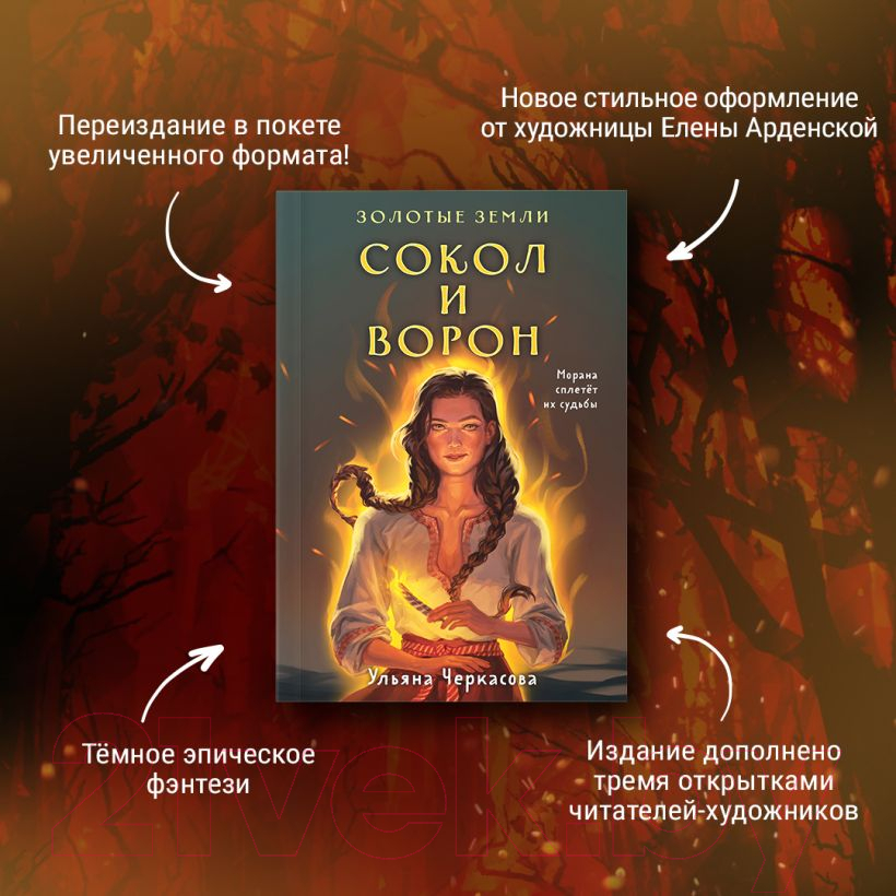 Художественная книга Черным-бело Золотые земли. Сокол и Ворон (Черкасова У.) — фото 5