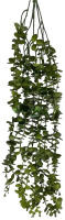 Искусственное растение Артфлора Дисхидия ампельная / 107014 (зеленый) - 