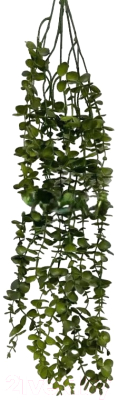 Искусственное растение Артфлора Дисхидия ампельная / 107014 (зеленый)
