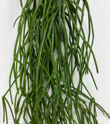 Искусственное растение Артфлора Рипсалис ампельный Андрэ / 107012