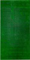 Искусственная трава Витебские ковры 18С24-ВИ (1x2м) - 