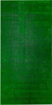 Искусственная трава Витебские ковры 18С24-ВИ (1x2м)