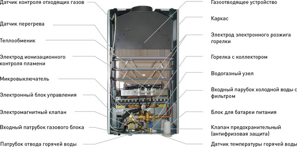 Купить Газовая колонка Oasis Eco 24 (с). Р в Минске