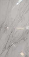 Плитка Axima Тахо Люкс (250x500, светло-серый) - 