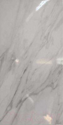 Плитка Axima Тахо Люкс (250x500, светло-серый)