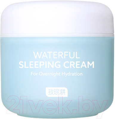 Крем для лица Jaminkyung Crema Caracol Waterful Sleeping Cream Увлажняющий Ночной (60мл)