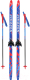 Комплект беговых лыж Nordway 7WLZR8PIB3 / 116717-MX (р.130, мультицвет) - 
