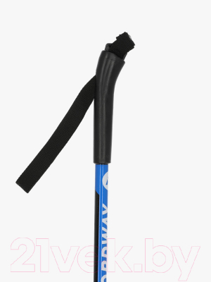 Комплект беговых лыж Nordway TKWOFE4QZ9 / 116719-3M (р.130, синий)